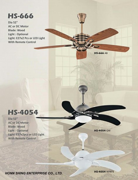 Ceiling Fan Light